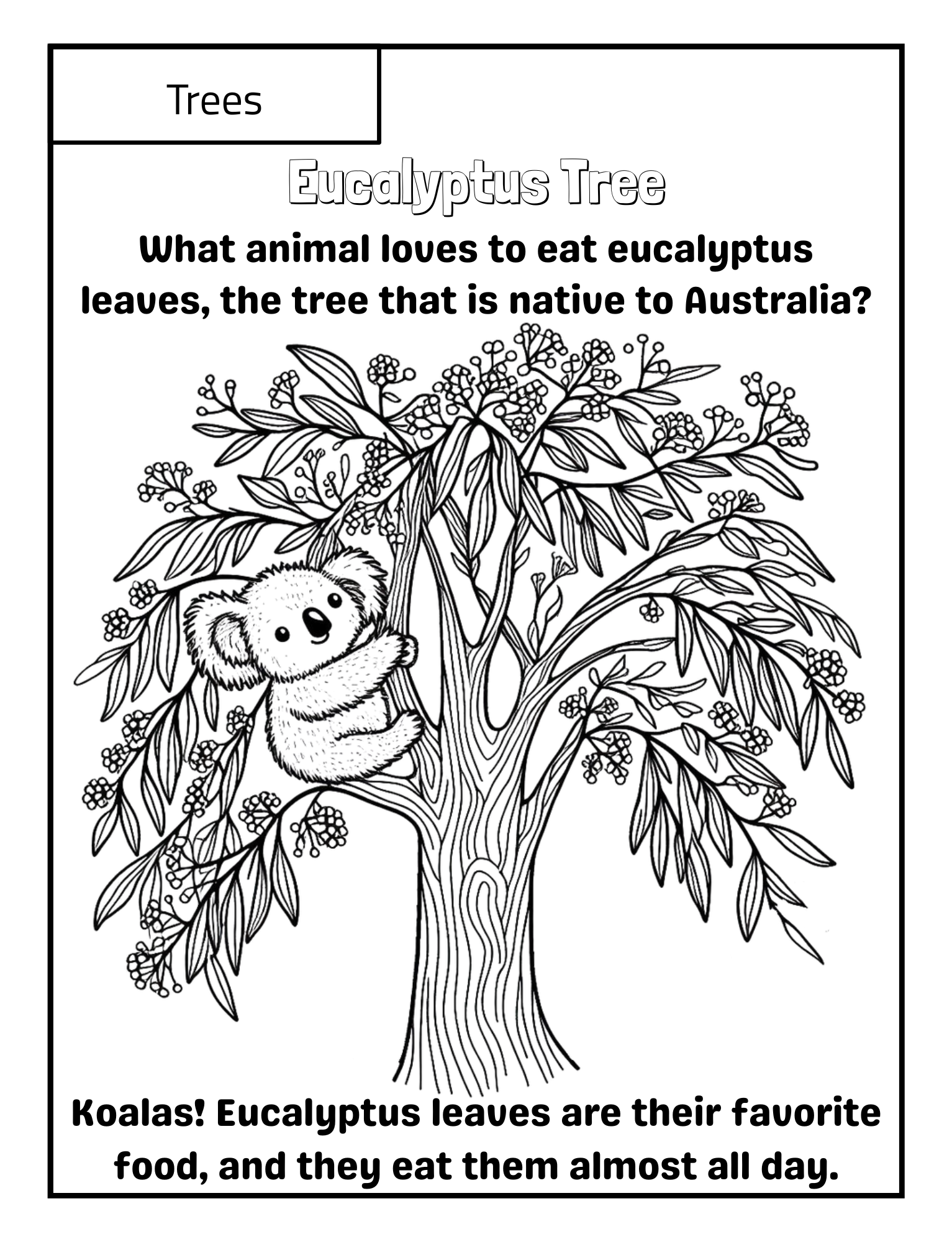 Bloom & Grow: Trees, Flowers, and Leaves!